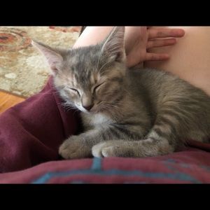 Meet your Posher, Hailey